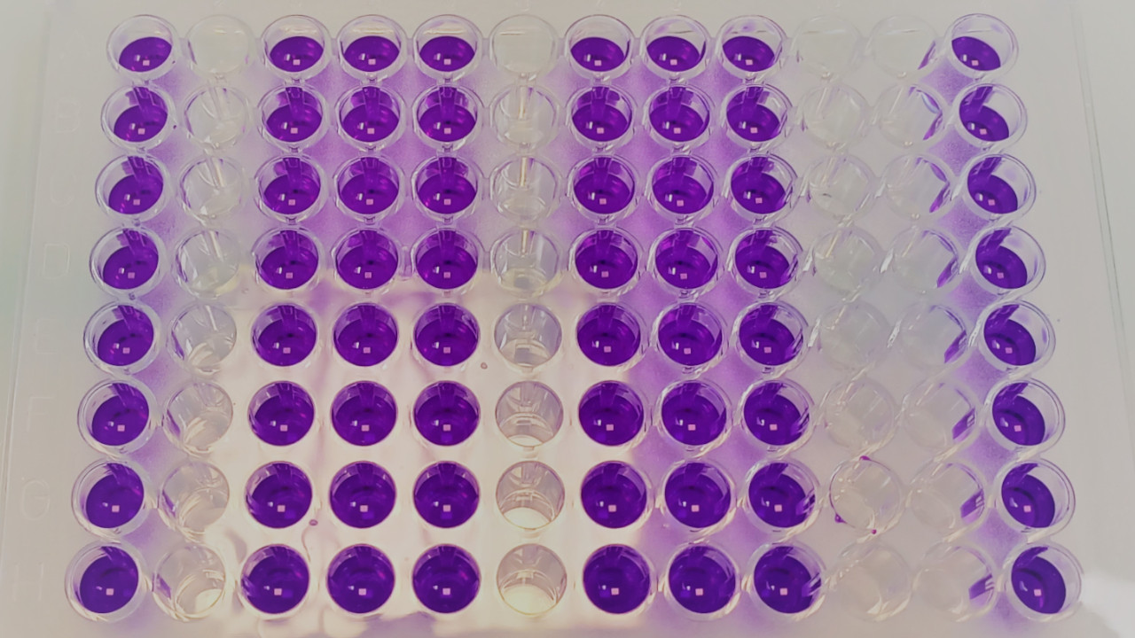 photo d'un élément de laboratoire de biochimie